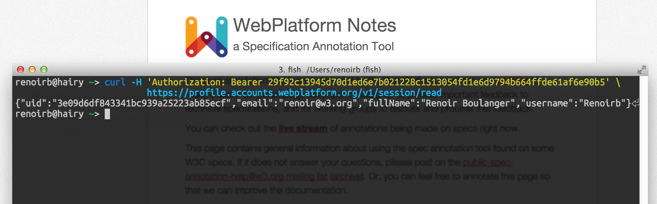 Terminal session issuing HTTP call using cURL